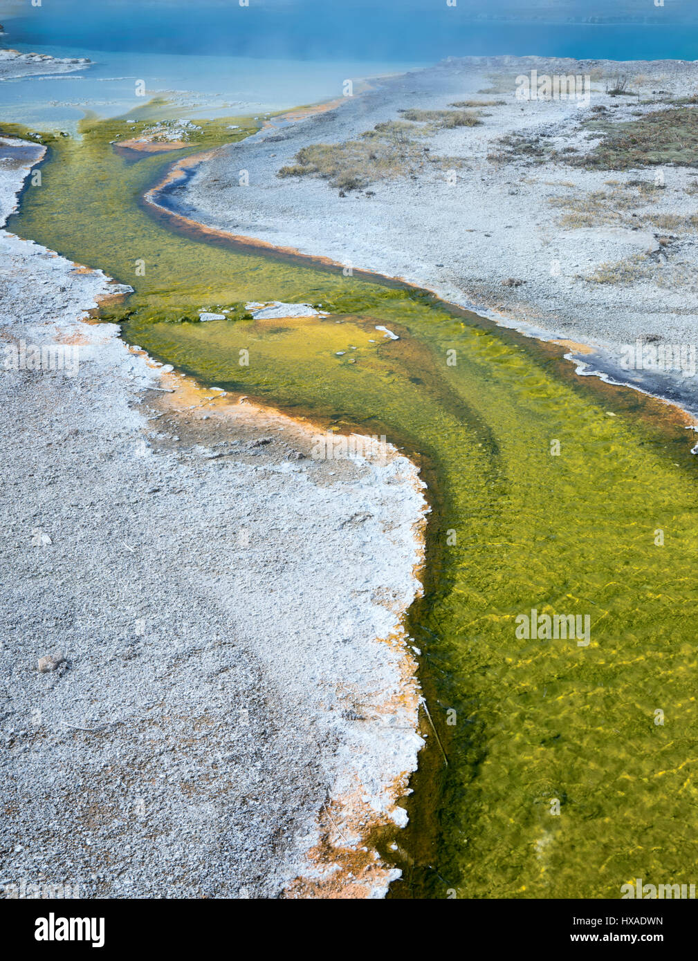 Flusso colorato che conduce a Saphire Poll. Bacino del biscotto. Parco Nazionale di Yellowstone, Wyoming Foto Stock