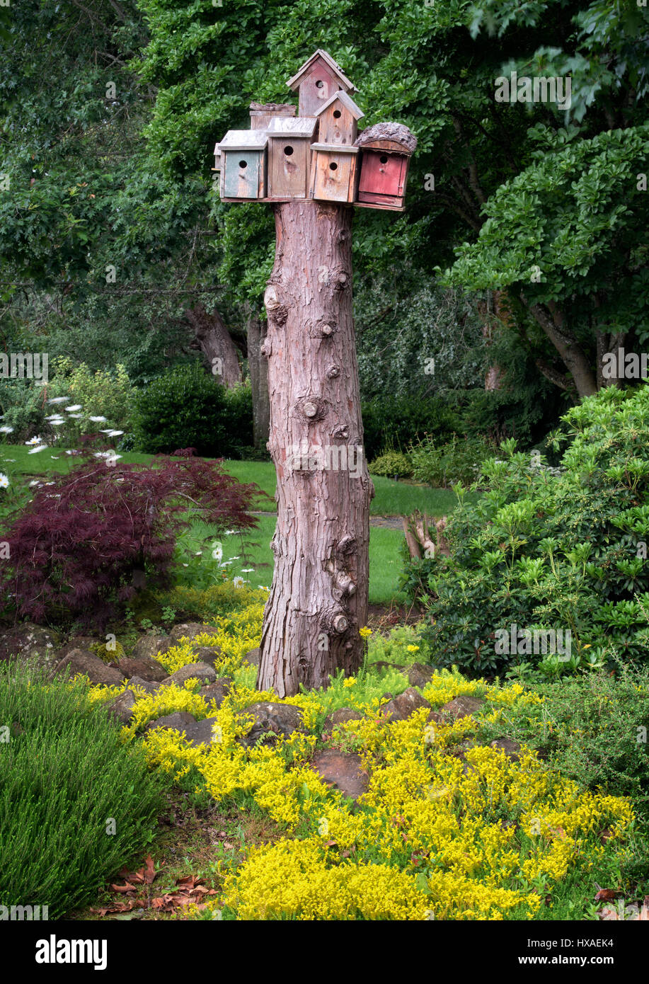 Oregon giardino. Silverton, Oregon Foto Stock