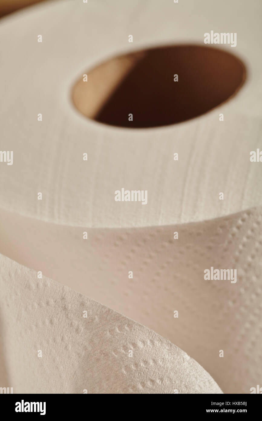 Rotolo di carta igienica, chiamato "un rotolo di carta igienica' in alcuni  paesi di lingua Inglese Foto stock - Alamy