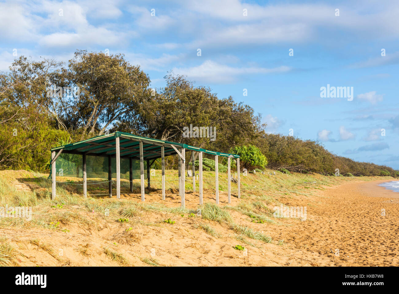 Pantina parasole sulla spiaggia di Mon Repos. Mon Repos Conservation Park, Bundaberg, Queensland, Australia Foto Stock