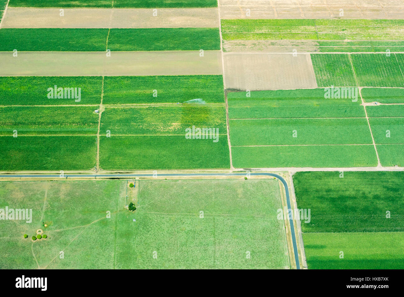 Vista aerea della canna da zucchero terreni agricoli vicino a Bundaberg, Queensland, Australia Foto Stock