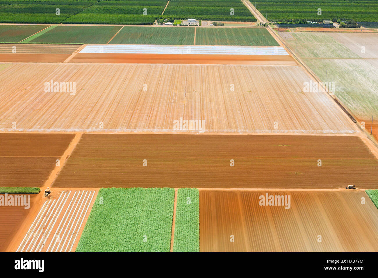 Vista aerea delle superfici agricole coltivate per la canna da zucchero vicino a Bundaberg, Queensland, Australia Foto Stock