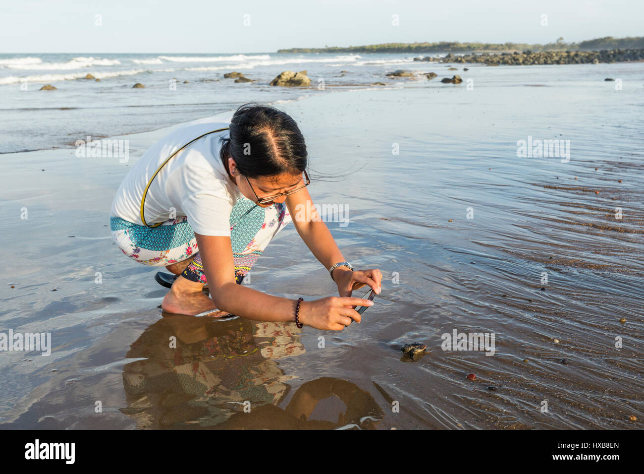 Donna di scattare una foto di un bambino tartaruga marina Caretta - Caretta) rendendo il suo viaggio verso il mare. Mon Repos Conservation Park, Bundaberg, Queensland Foto Stock