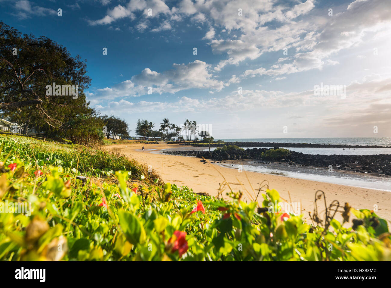 Vista lungo la spiaggia di Bargara all'alba, Bundaberg, Queensland, Australia Foto Stock