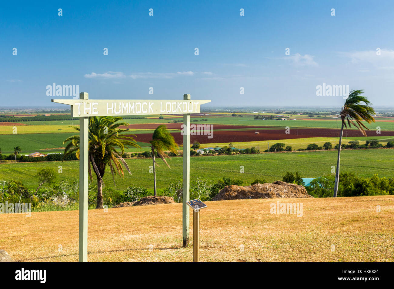 Vista del terreno coltivato dal Hummock Lookout. Bundaberg, Queensland, Australia Foto Stock