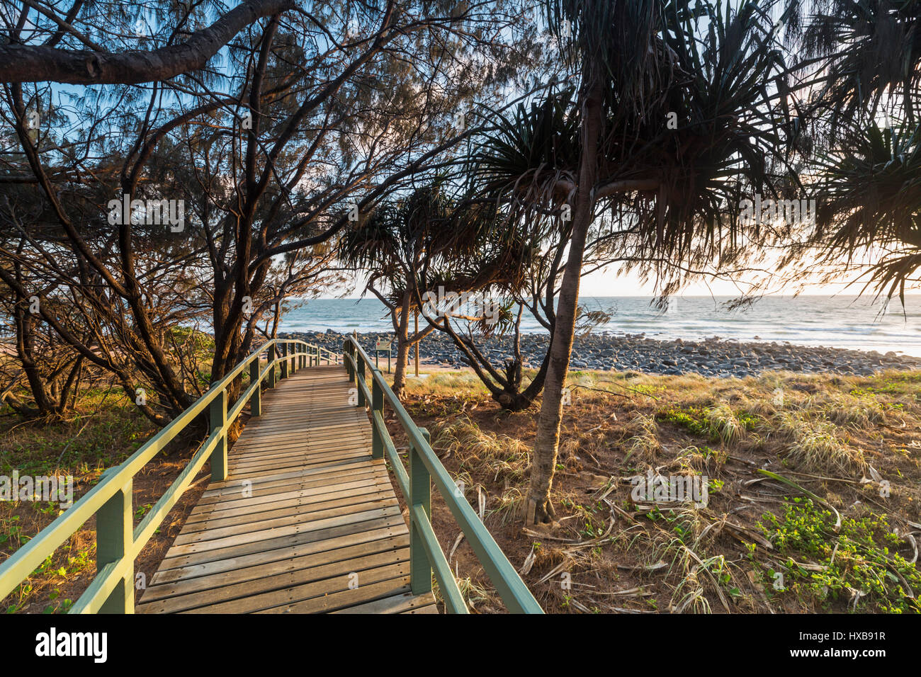 Visualizzare lungo il percorso alla spiaggia di Mon Repos all'alba. Bundaberg, Queensland, Australia Foto Stock