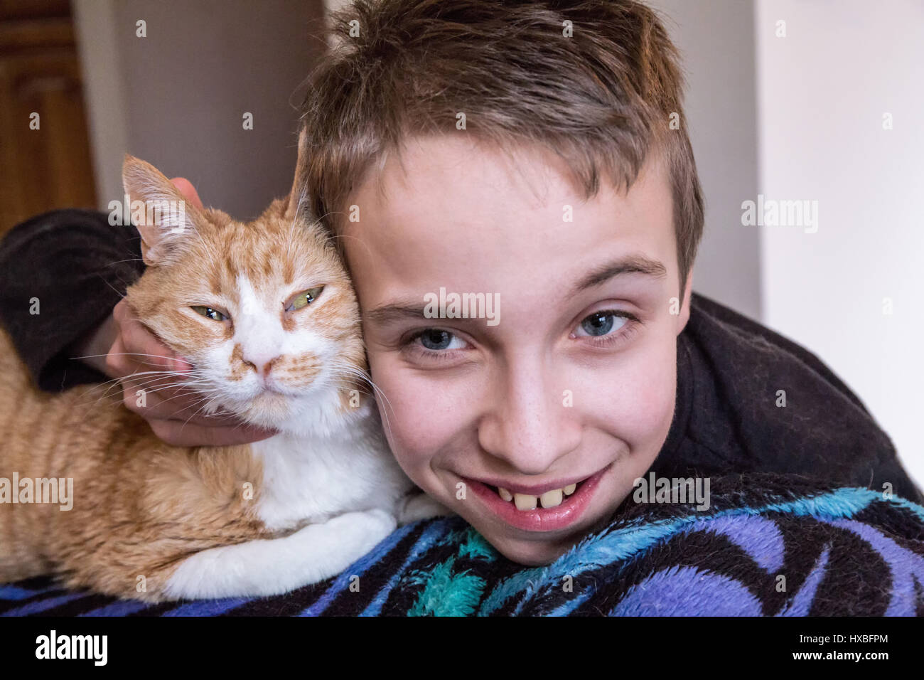 Quattordici anni di vecchio ragazzo scherzosamente abbracciando e spremitura di Kia, il suo breve domestici di pelo di gatto Foto Stock