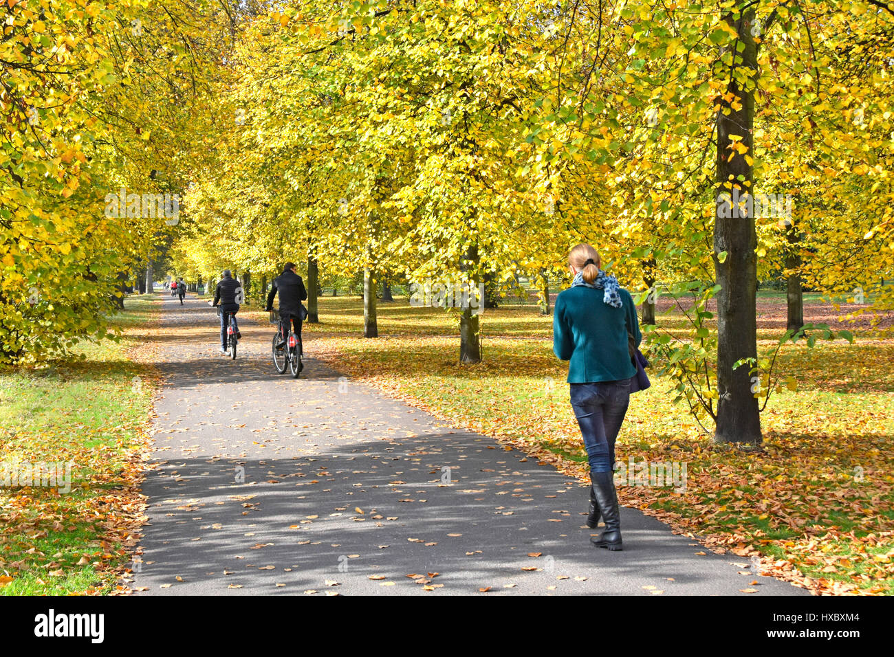 I giardini di Kensington Londra Inghilterra Foglie di autunno pedone walker & noleggio bici ciclista in anticipo sulla condivisione consentita percorso ciclo percorso in Royal Park Foto Stock