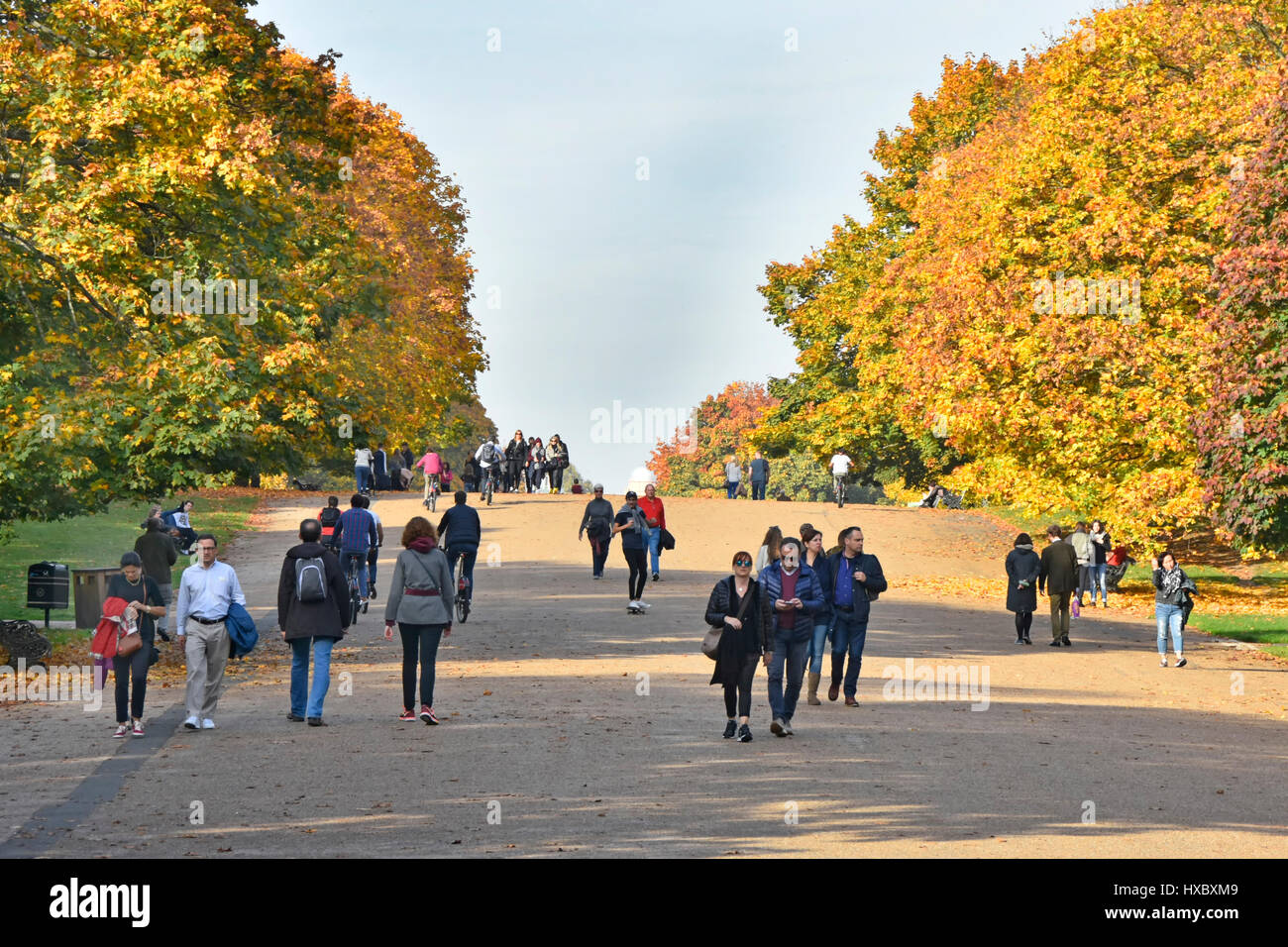 London park autunno in Kensington Gardens la vasta passeggiata fiancheggiata da alberi d'autunno Londra Inghilterra londinesi e turisti a piedi sotto il sole Foto Stock