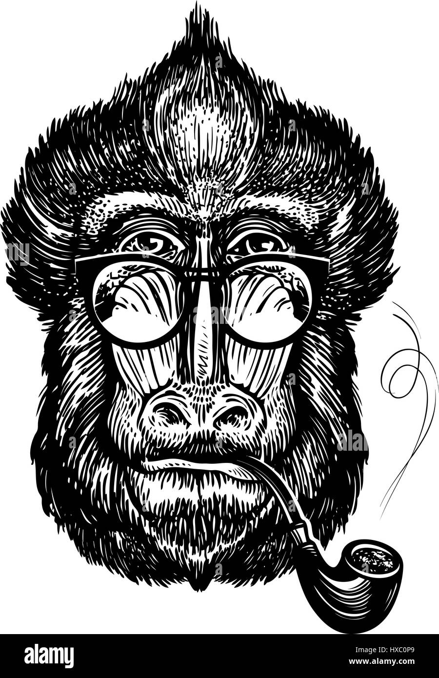 Disegnate a mano ritratto di scimmia divertente con gli occhiali. Smart mandrill e tubo di fumo. Schizzo illustrazione vettoriale Illustrazione Vettoriale