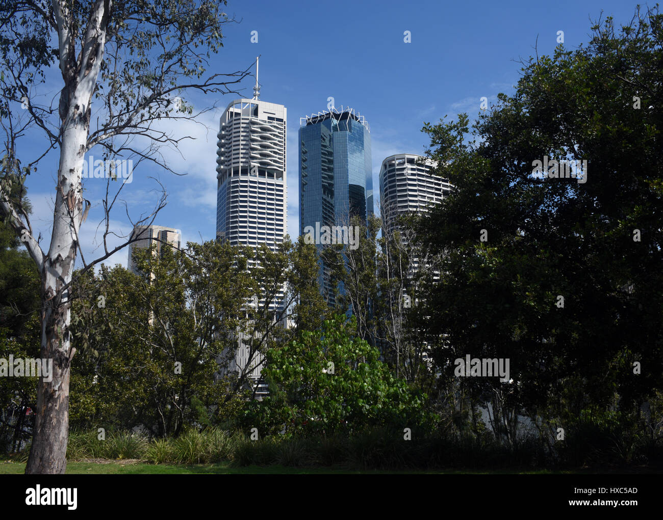 Brisbane, Australia: edifici per uffici che domina a parklands a Kangaroo Point Foto Stock