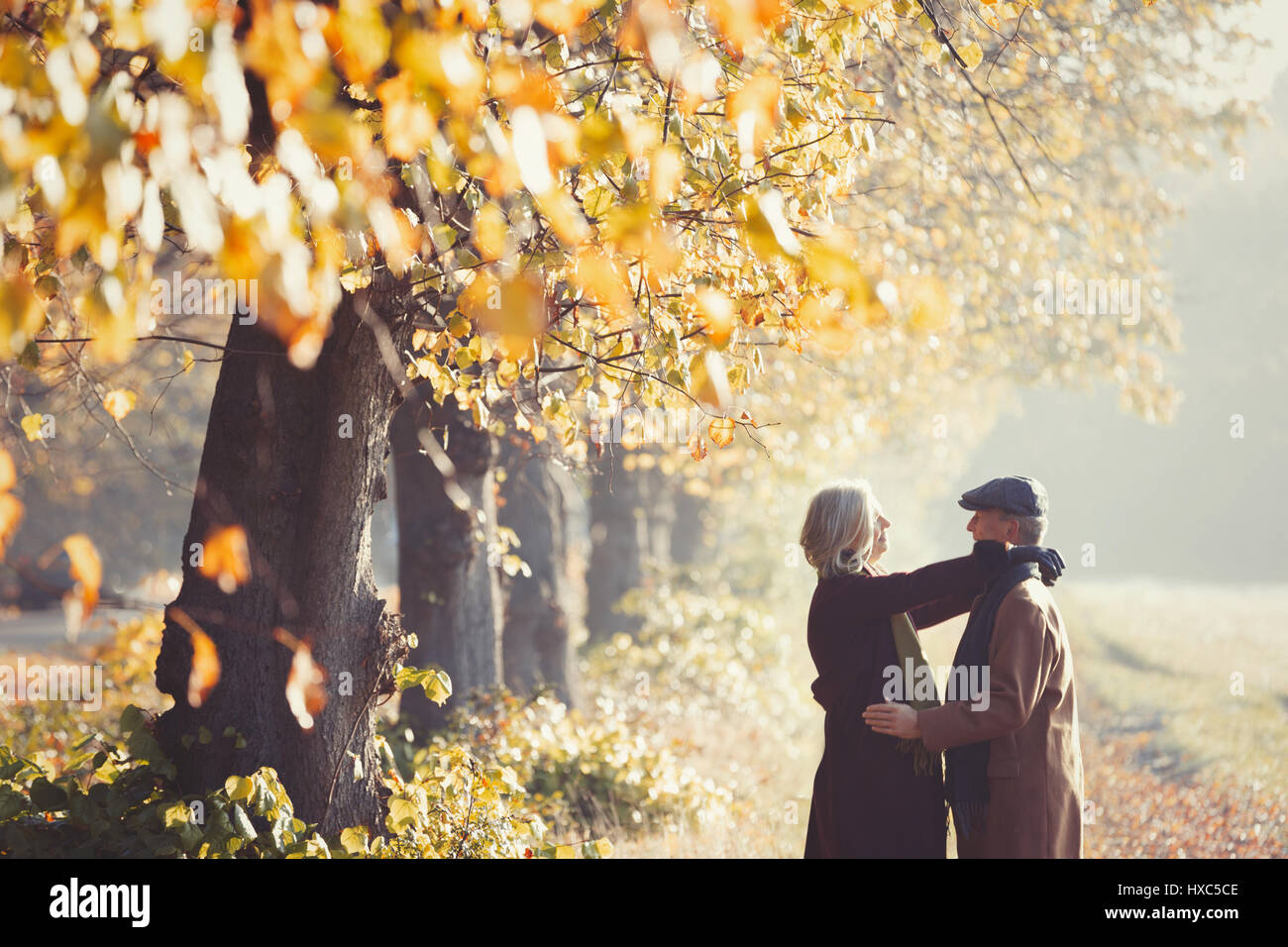 Affettuosa giovane nella soleggiata autunno park Foto Stock