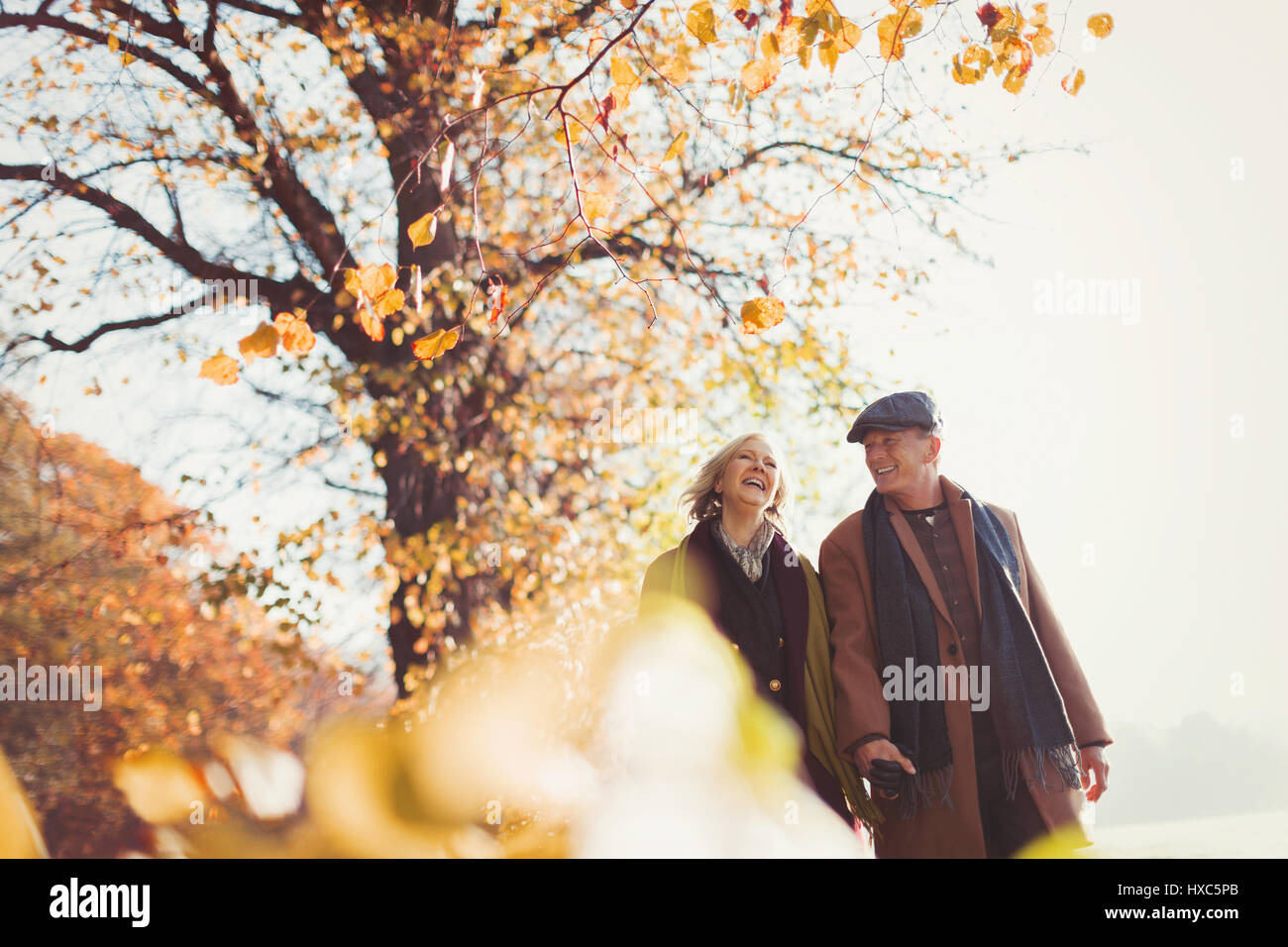 Affettuosa coppia senior tenendo le mani a piedi nella soleggiata autunno park Foto Stock