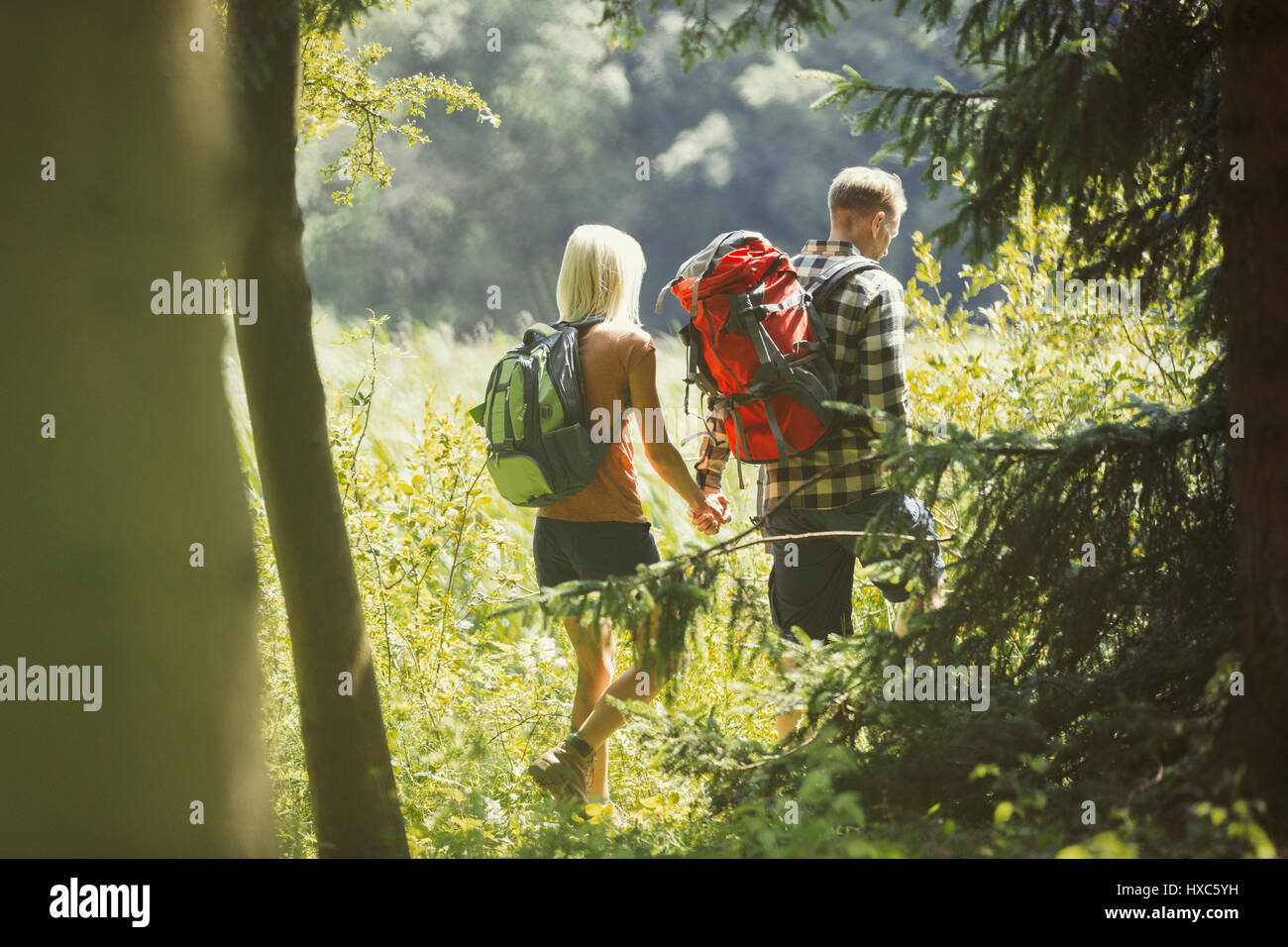 Coppia con zaini holding hands escursioni nei boschi di sole Foto Stock