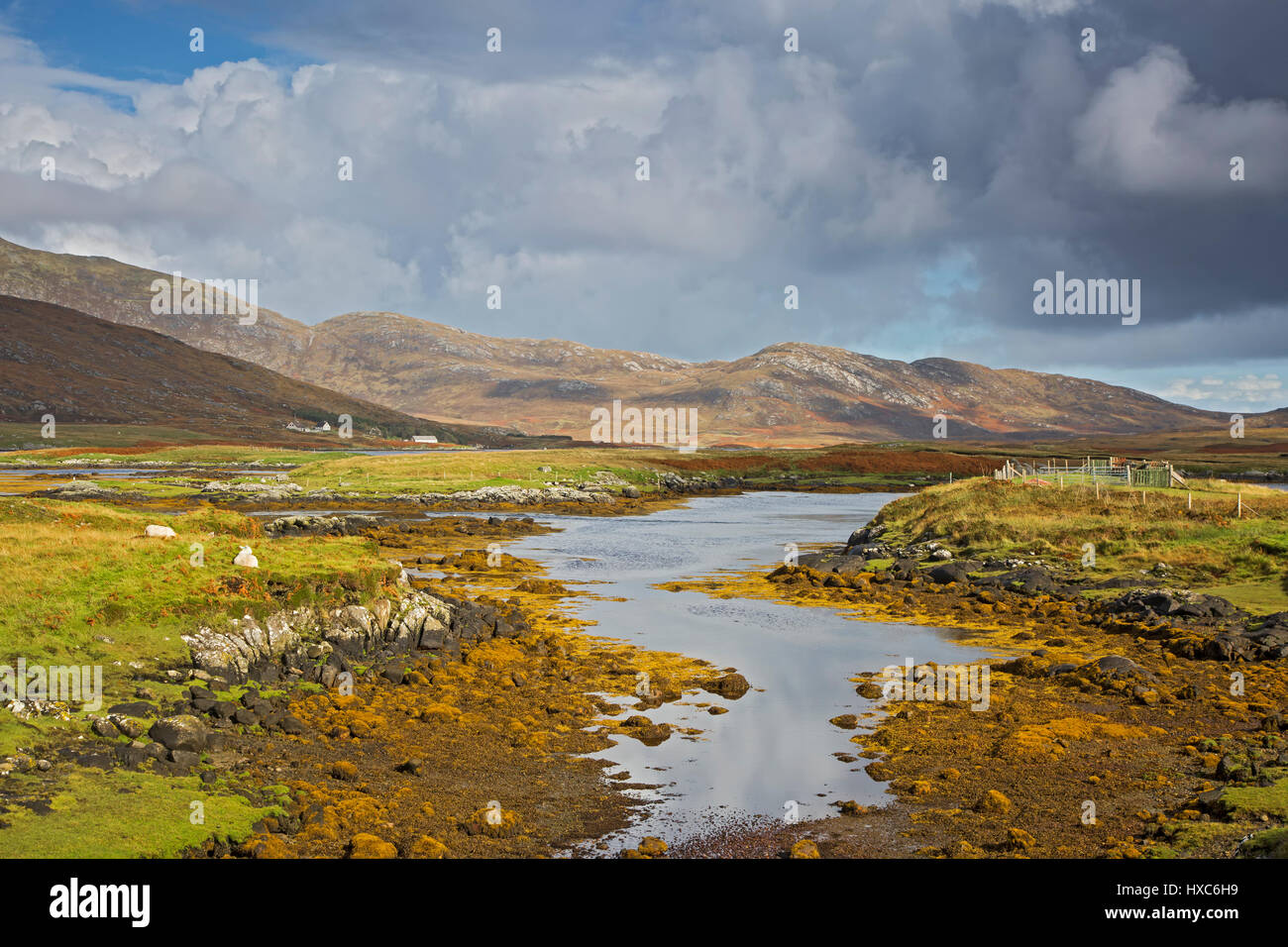 Soleggiata vista tranquillo paesaggio scoscese e flusso, Loch Aineort, Sud Uist, Ebridi Esterne Foto Stock