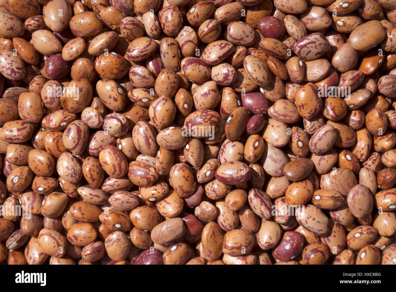Fagioli bianchi per gli sfondi texture Foto Stock