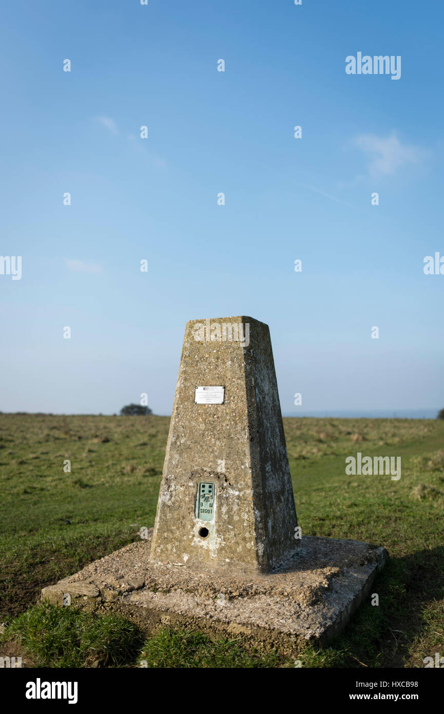 Ordnance Survey Trig punto sulla cima della collina Butser, Queen Elizabeth Country Park, Hampshire, Inghilterra, Regno Unito Foto Stock
