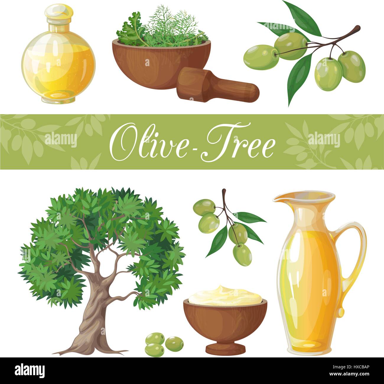 Set di vettore di oggetti isolati su sfondo bianco. Sul tema dell'olivo, la produzione di olive e la sua applicazione. Essa ha ottenuto in un realistico s Illustrazione Vettoriale