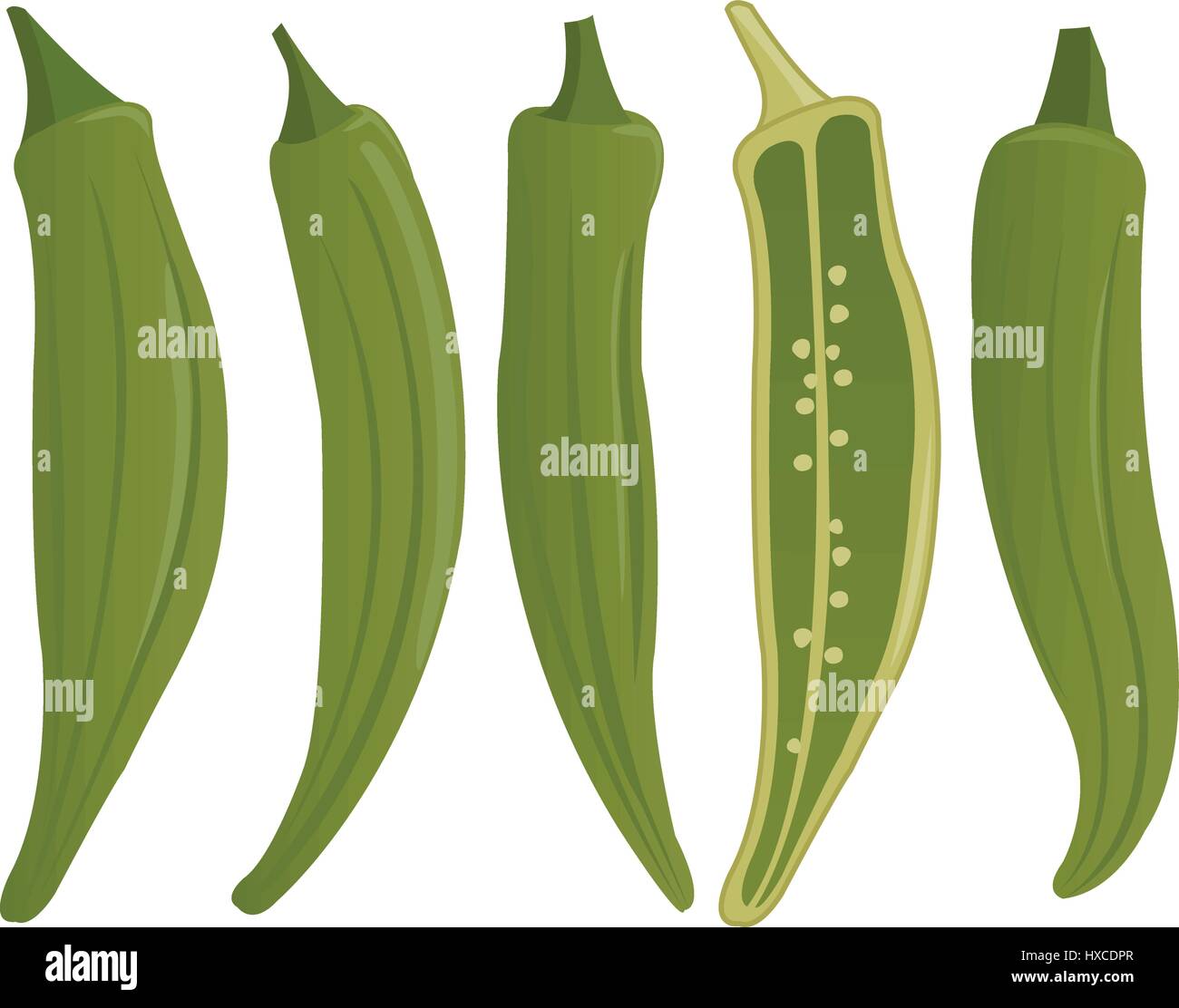 Okra intero e tagliato a fette, dita femminili, bambù, verdure bhindi. Verdure verdi fresche, ingrediente da cucina. Illustrazione vettoriale Illustrazione Vettoriale