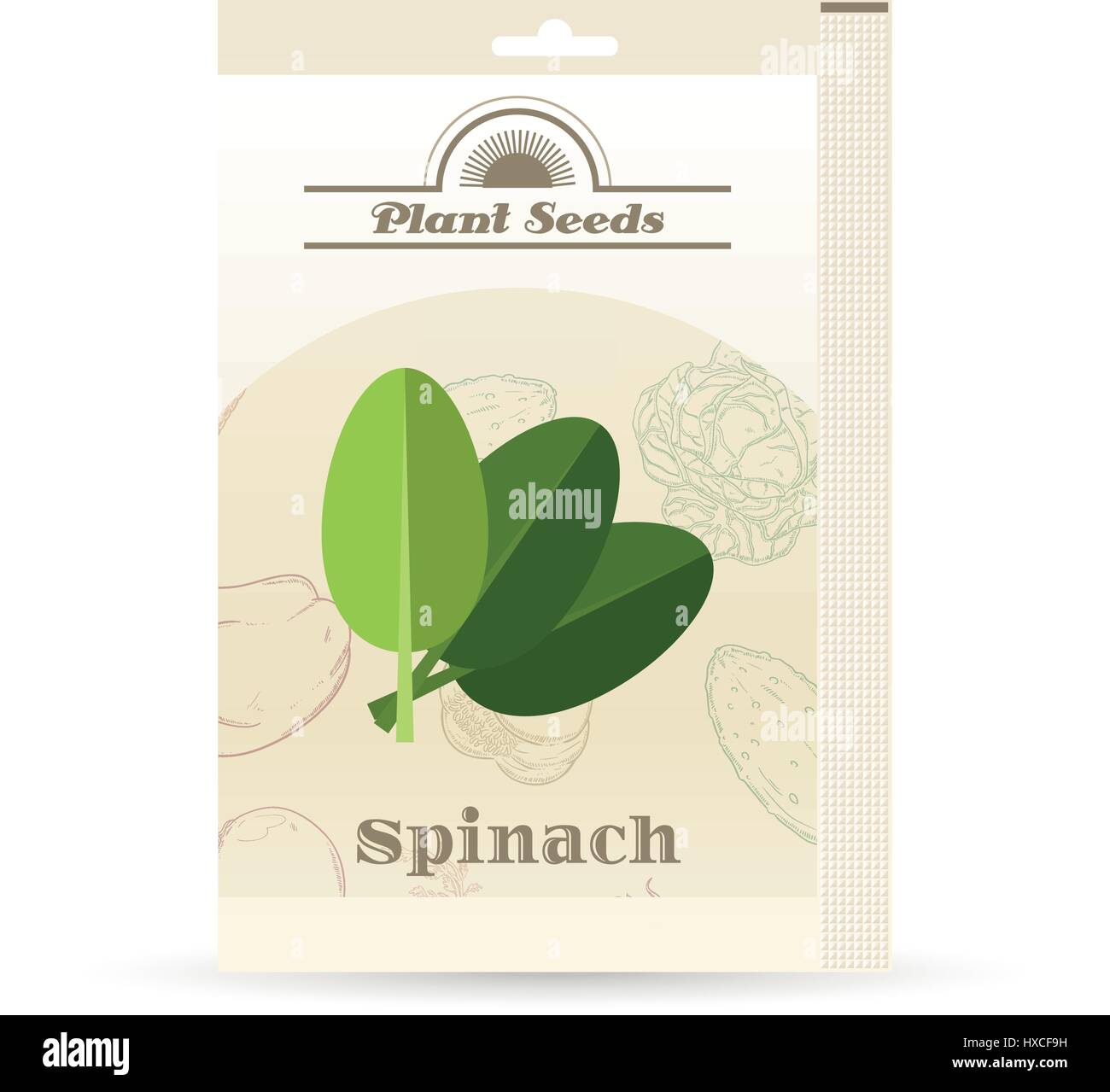 Pack di spinaci icona semi Illustrazione Vettoriale
