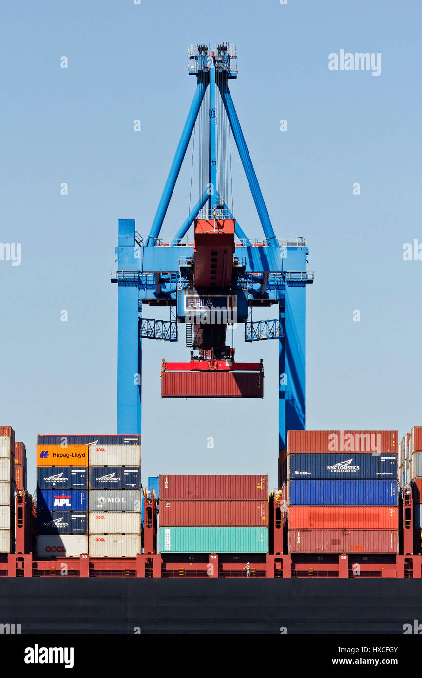 Contenitore bridge nel container terminal Altenwerder nel porto di Amburgo, ponte del contenitore in corrispondenza del terminale di container nel porto di Amburgo alte Foto Stock