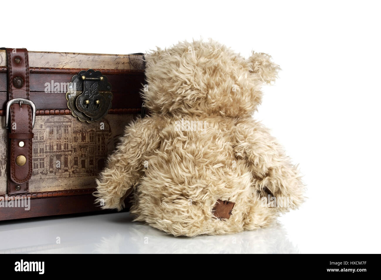 Petto con Teddy, Truhe mit Teddy Foto Stock