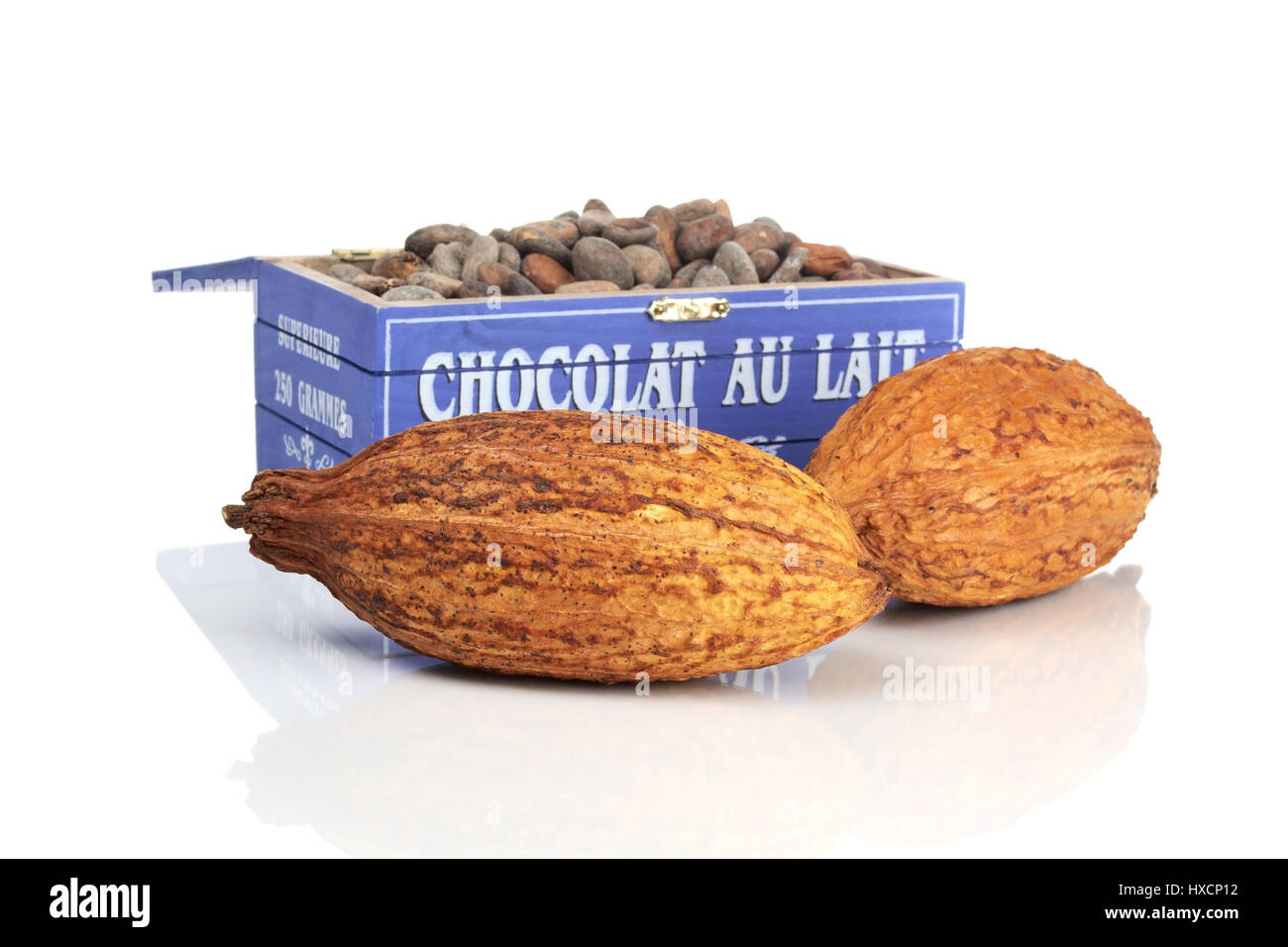Scatola di legno con chicchi di cacao e cacao, frutta Holzkiste mit Kakaobohnen und Kakaofrucht Foto Stock