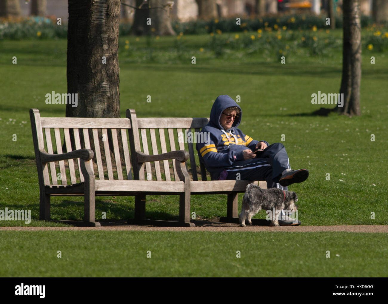 Londra, Regno Unito. Il 28 marzo 2017. Regno Unito: meteo soleggiate di Londra. Persone divertendosi in St James Park, Londra. 28/03/17 Credito: Sebastian Remme/Alamy Live News Foto Stock