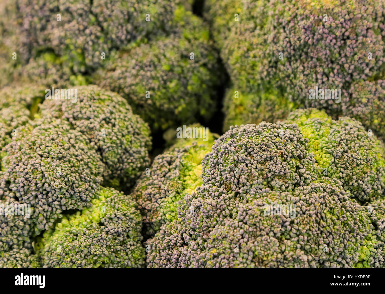 Cumulo di broccoli Calabrese a un mercato in stallo. Foto Stock