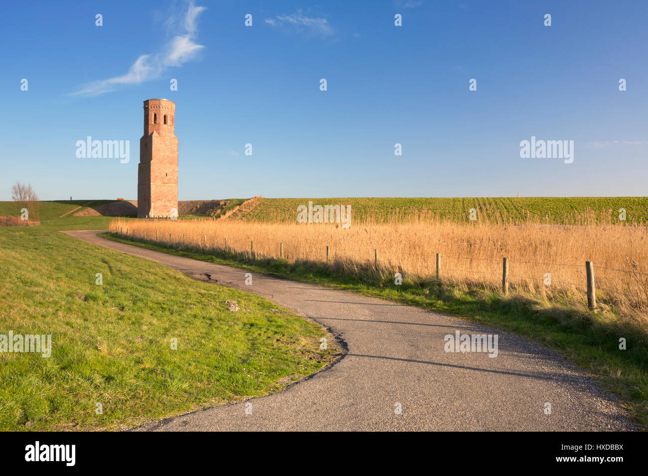 Il Plompe Toren chiesa torre dietro la Schelda orientale dyke in Zeeland, Paesi Bassi. Fotografato nel tardo pomeriggio la luce del sole. Foto Stock