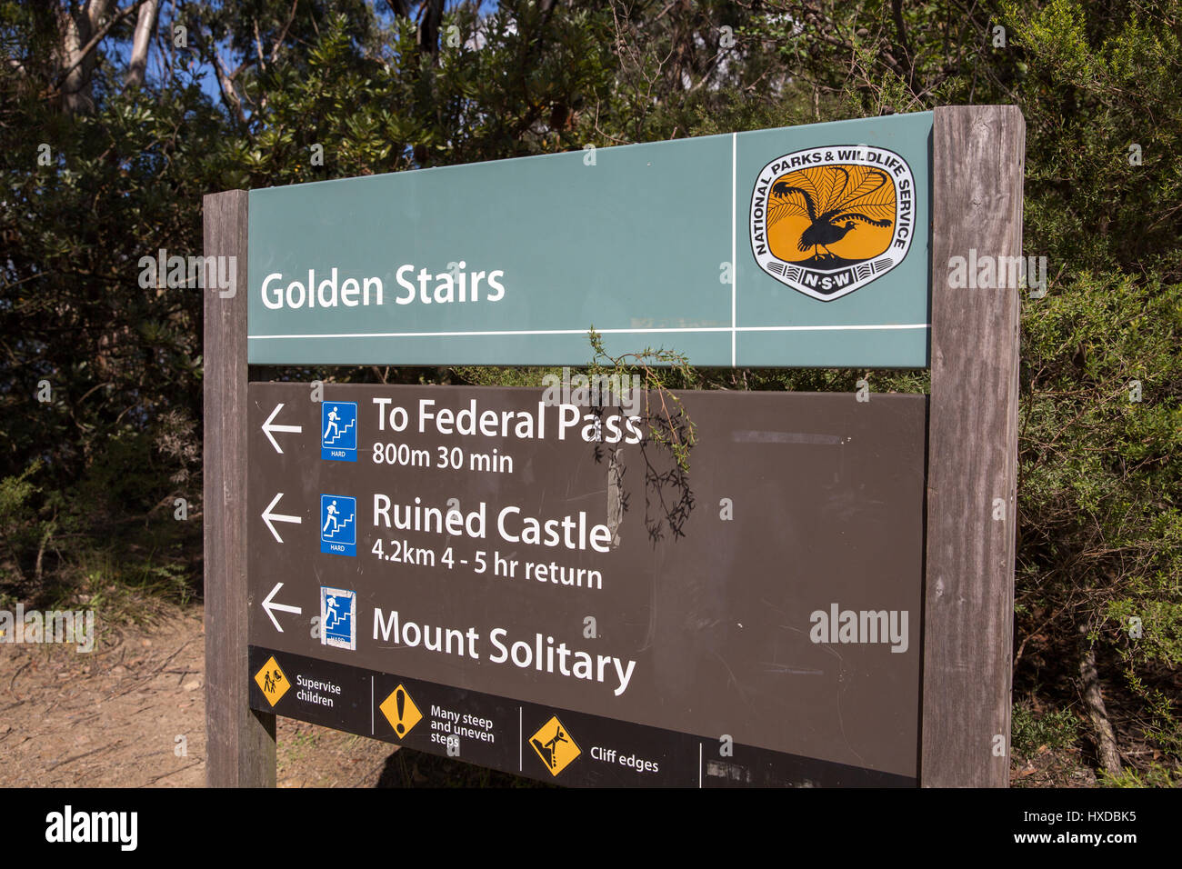 Informazioni di segno bacheca al Golden scale nel Parco nazionale Blue Mountains, Nuovo Galles del Sud, Australia Foto Stock