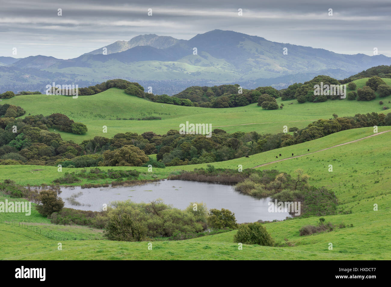 Montare Diablo da Briones Parco Regionale Foto Stock