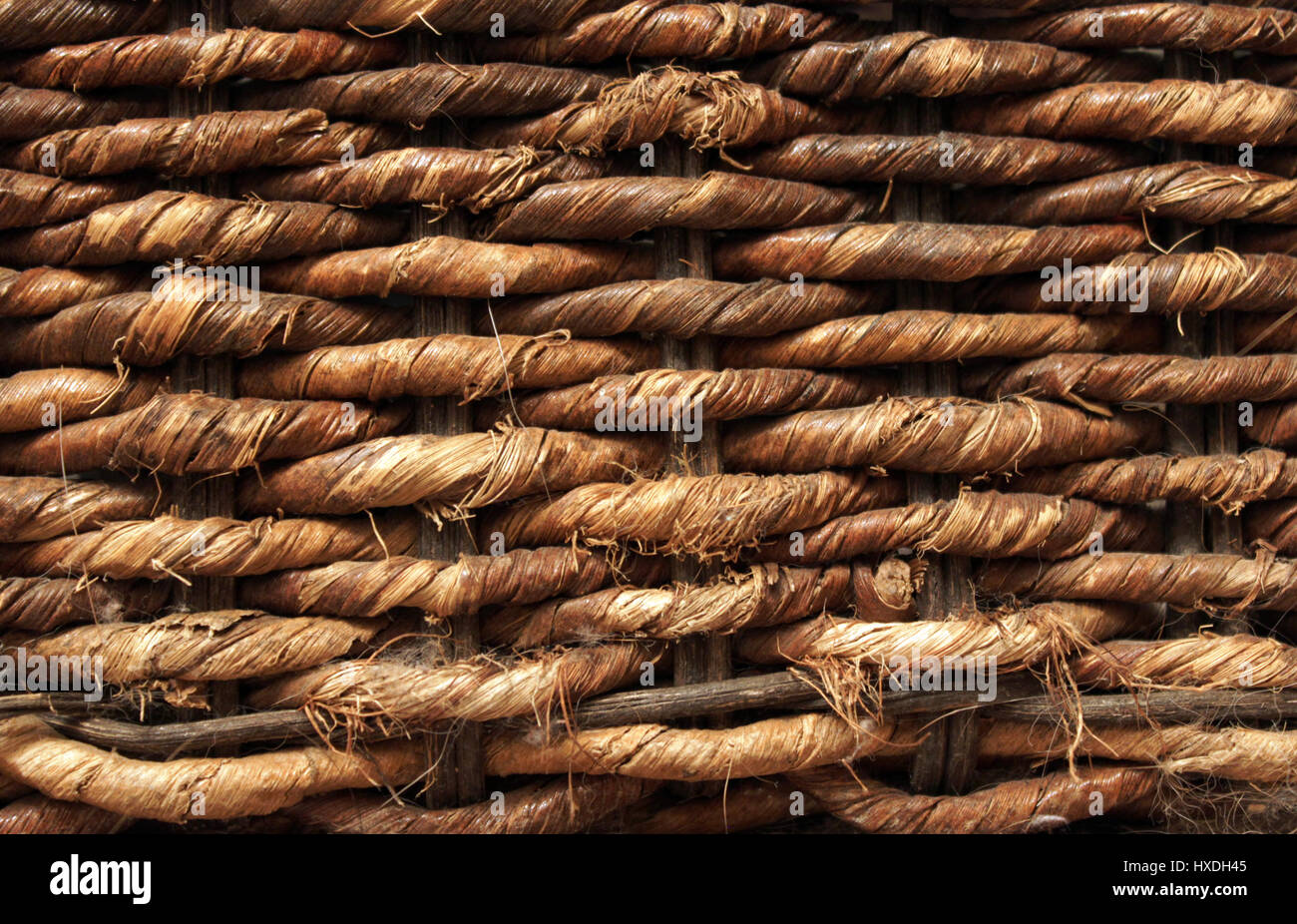 Vimini Foto Stock