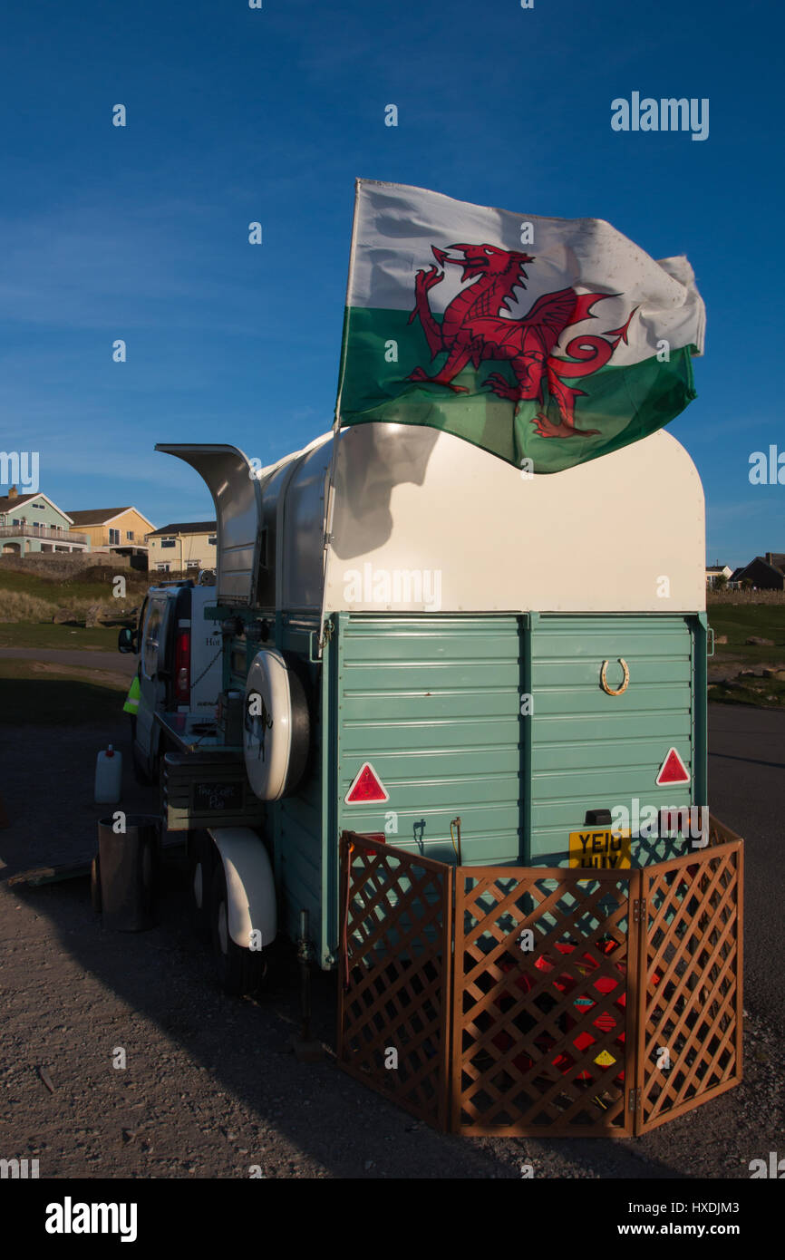 Welsh Bandiera: raffigurante un drago rosso Foto Stock