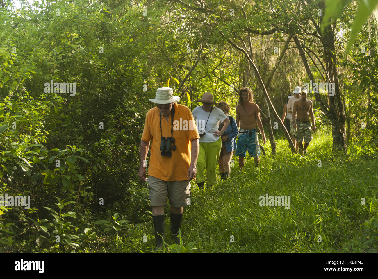 Ecuador, Galapagos, isola di Santa Cruz, El Chato Lago, fauna trekking di gruppo attraverso la foresta Foto Stock