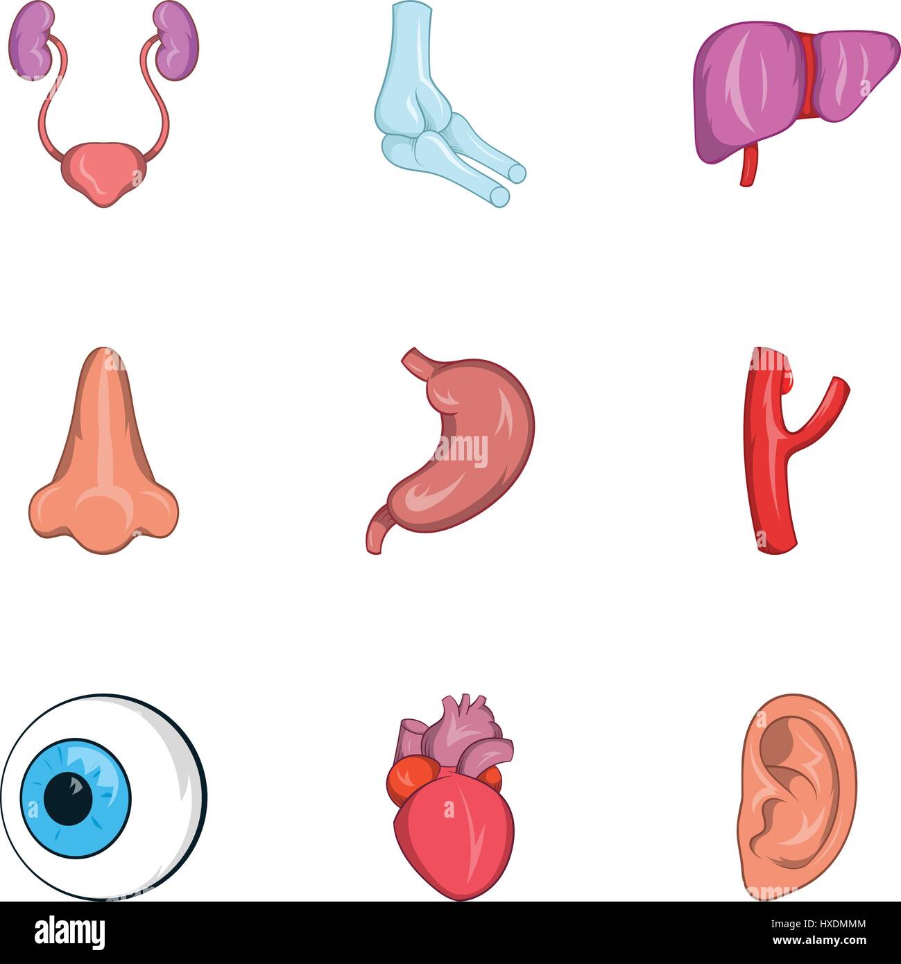 Struttura del corpo di set di icone, stile cartoon Illustrazione Vettoriale