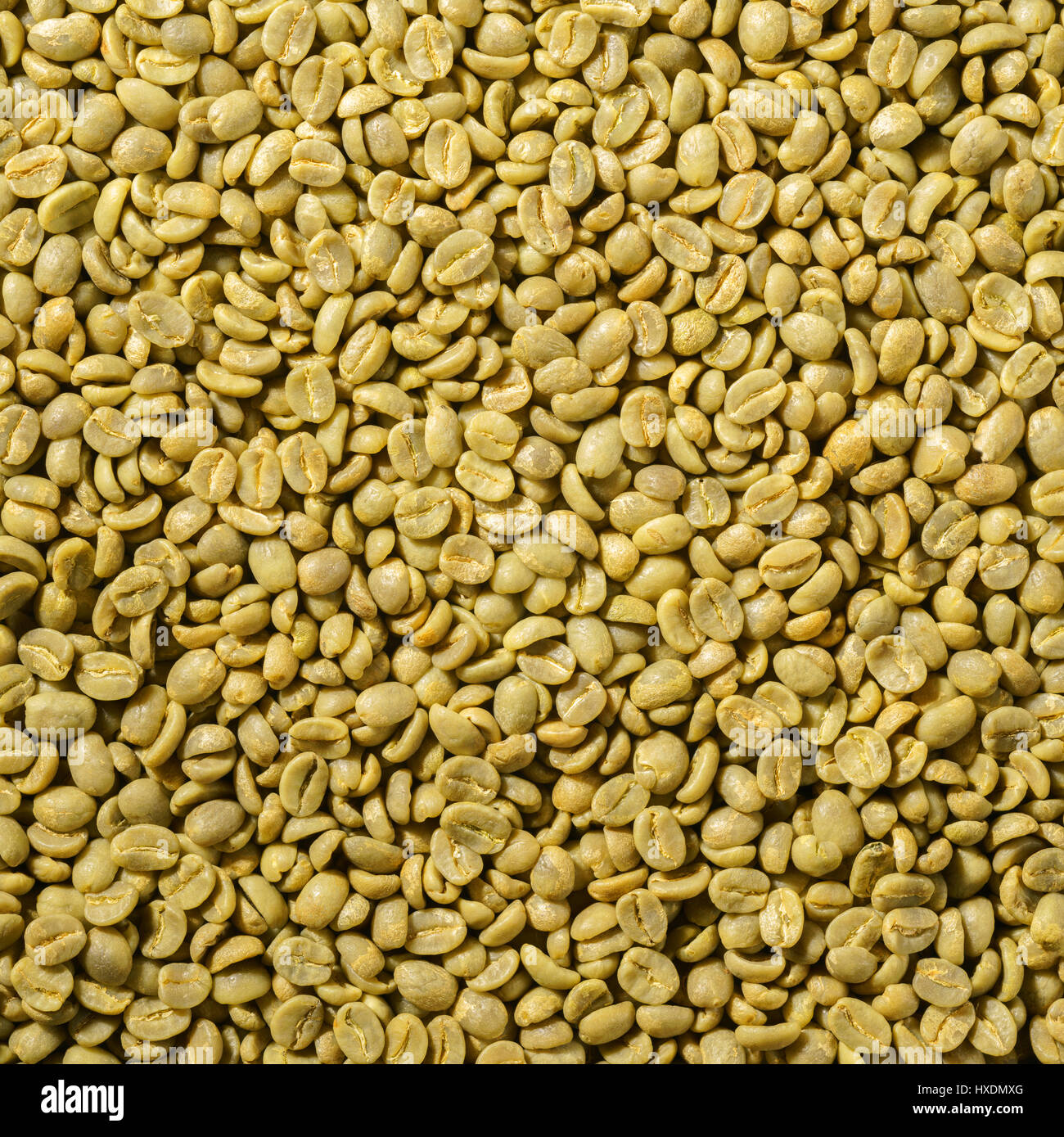 Chicchi verdi di caffè Foto Stock