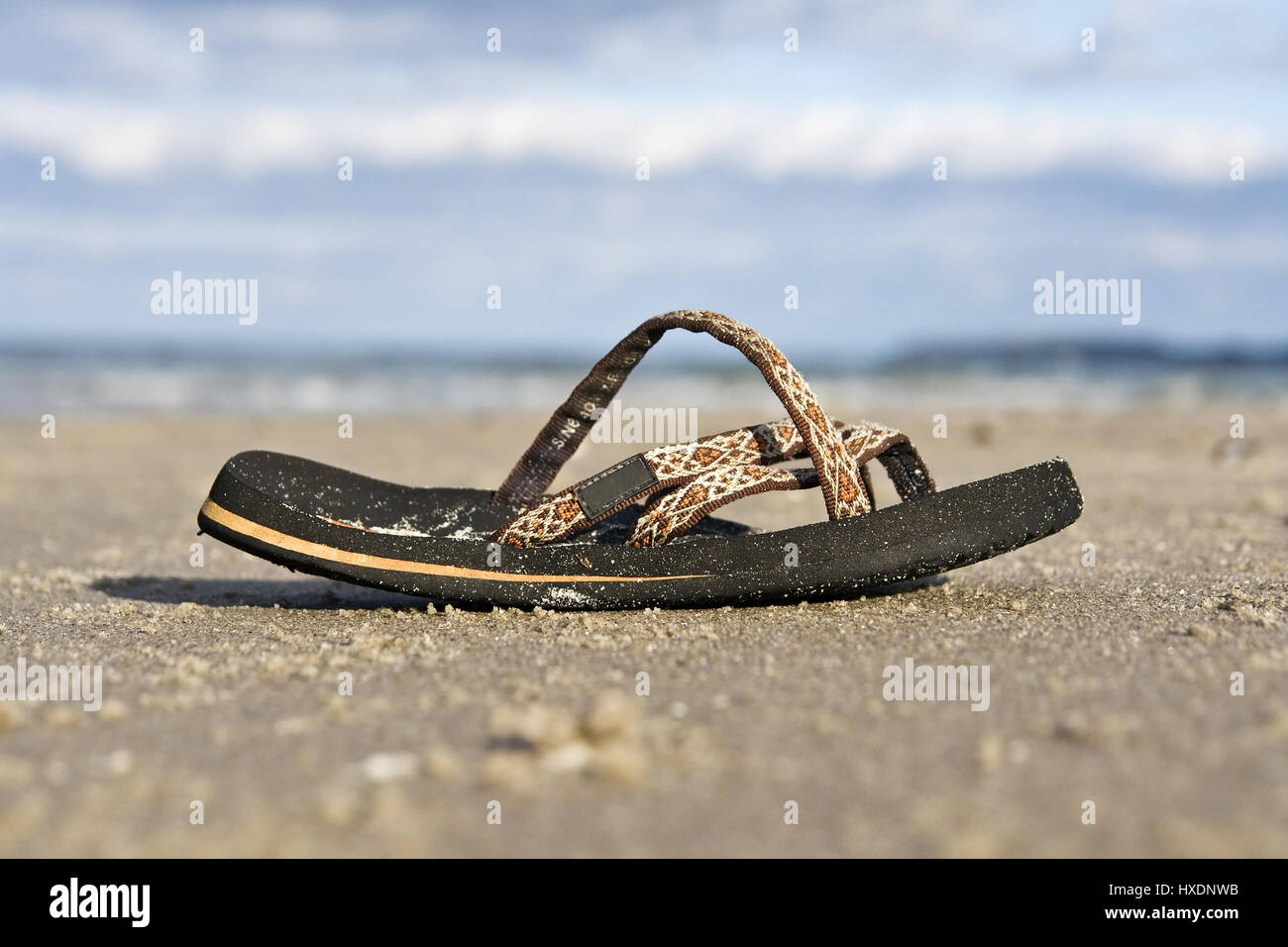 Un bagno alluvionali sandalo su una spiaggia sul Mar Baltico, in depositi alluvionali la balneazione in una spiaggia sul Mar Baltico |, Eine angespülte Badesandale un einem Strand Foto Stock
