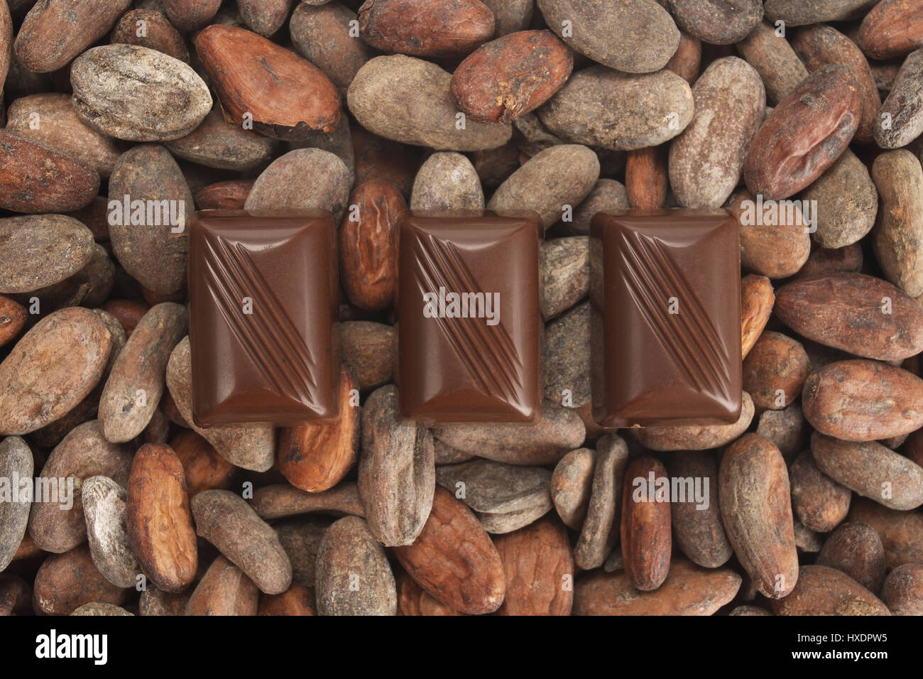 Cioccolato con chicchi di cacao, Schokolade mit Kakaobohnen Foto Stock