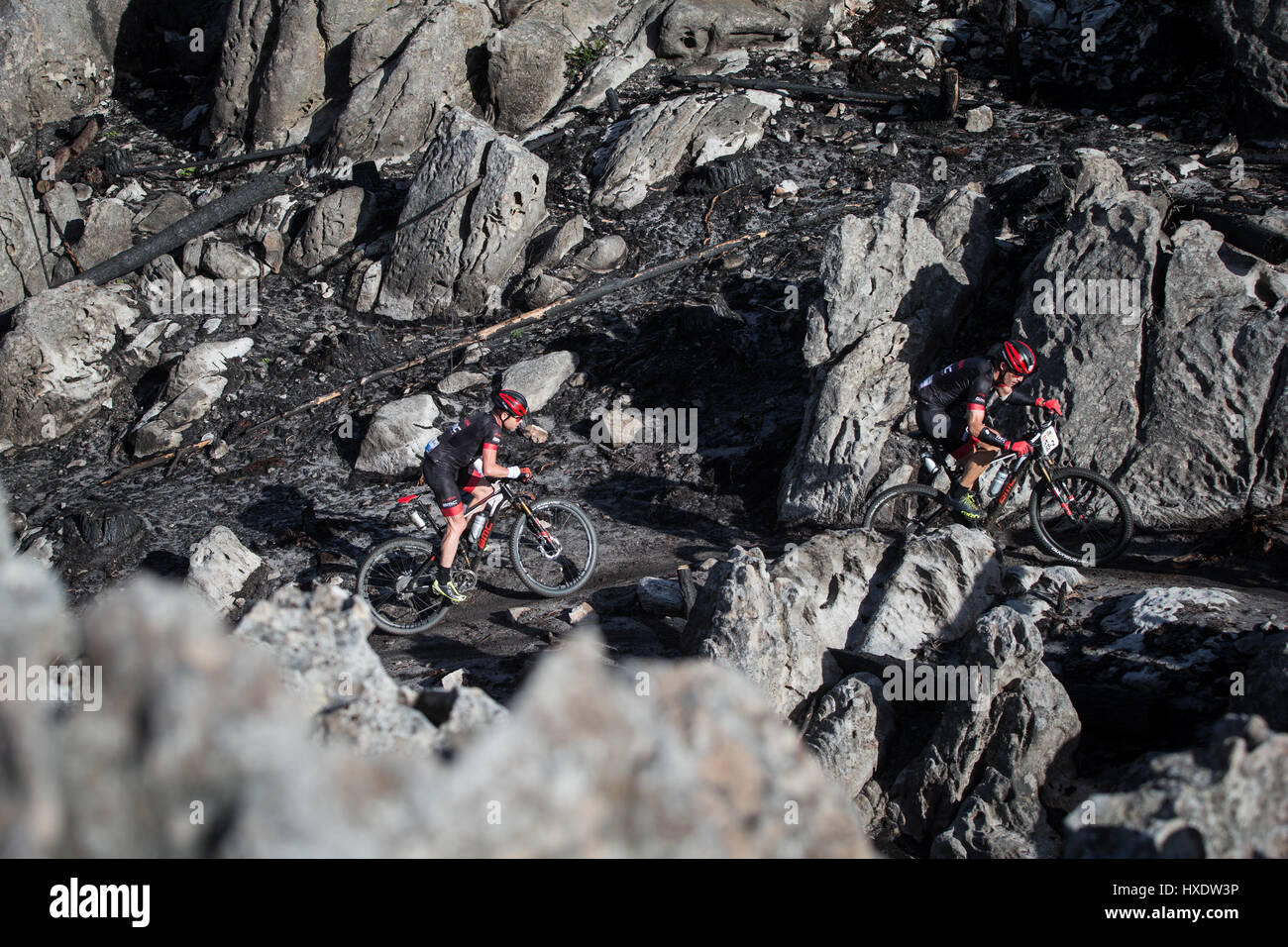 Cadel Evans, George HINCAPIE Foto Stock