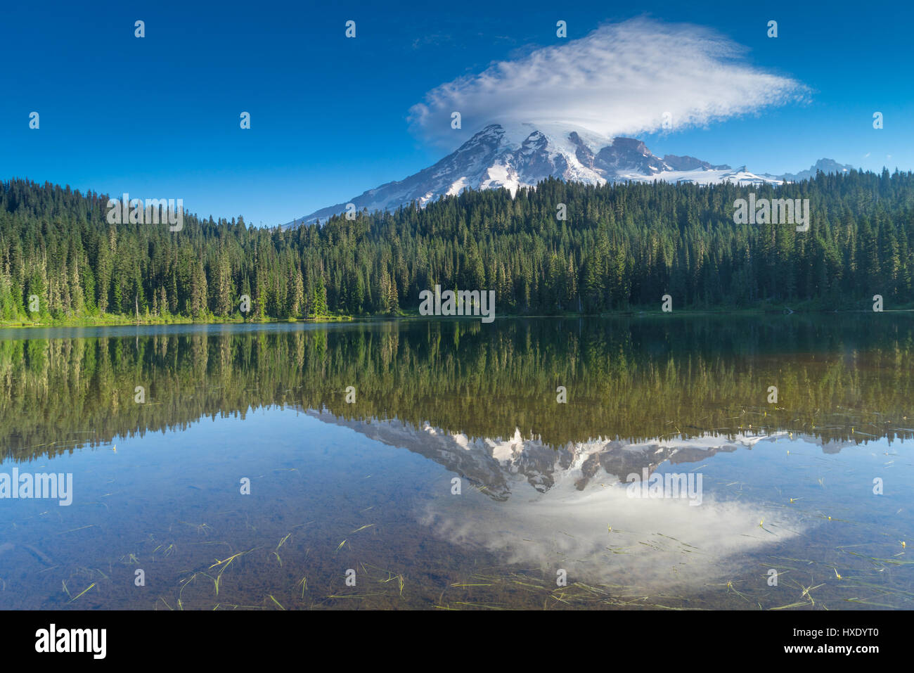 Mount Rainier riflessione all'alba sul lago di riflessione Foto Stock
