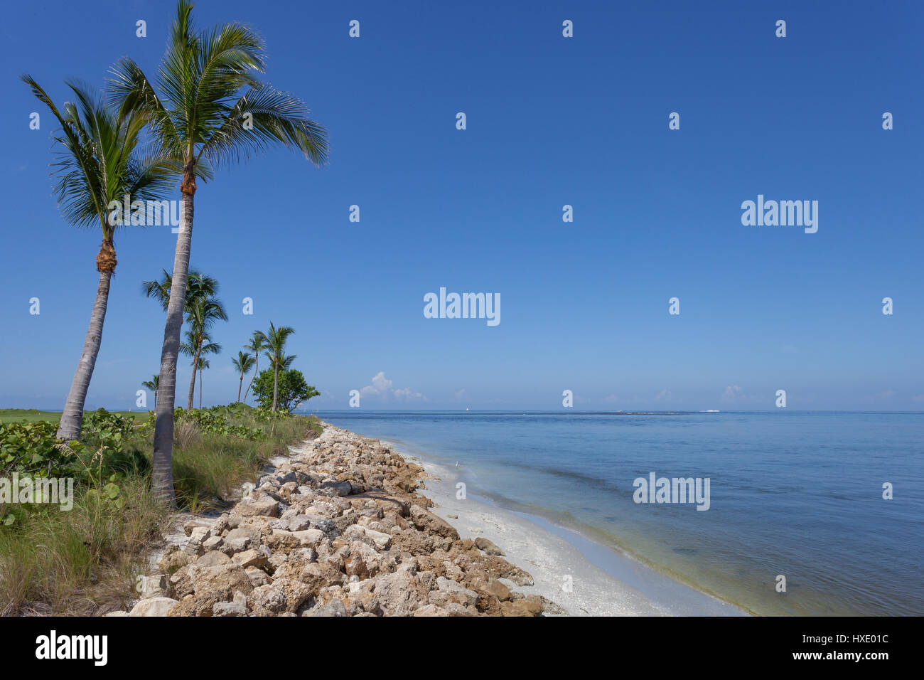 Palme lungo la costa tropicale di Captiva Island, Florida Foto Stock