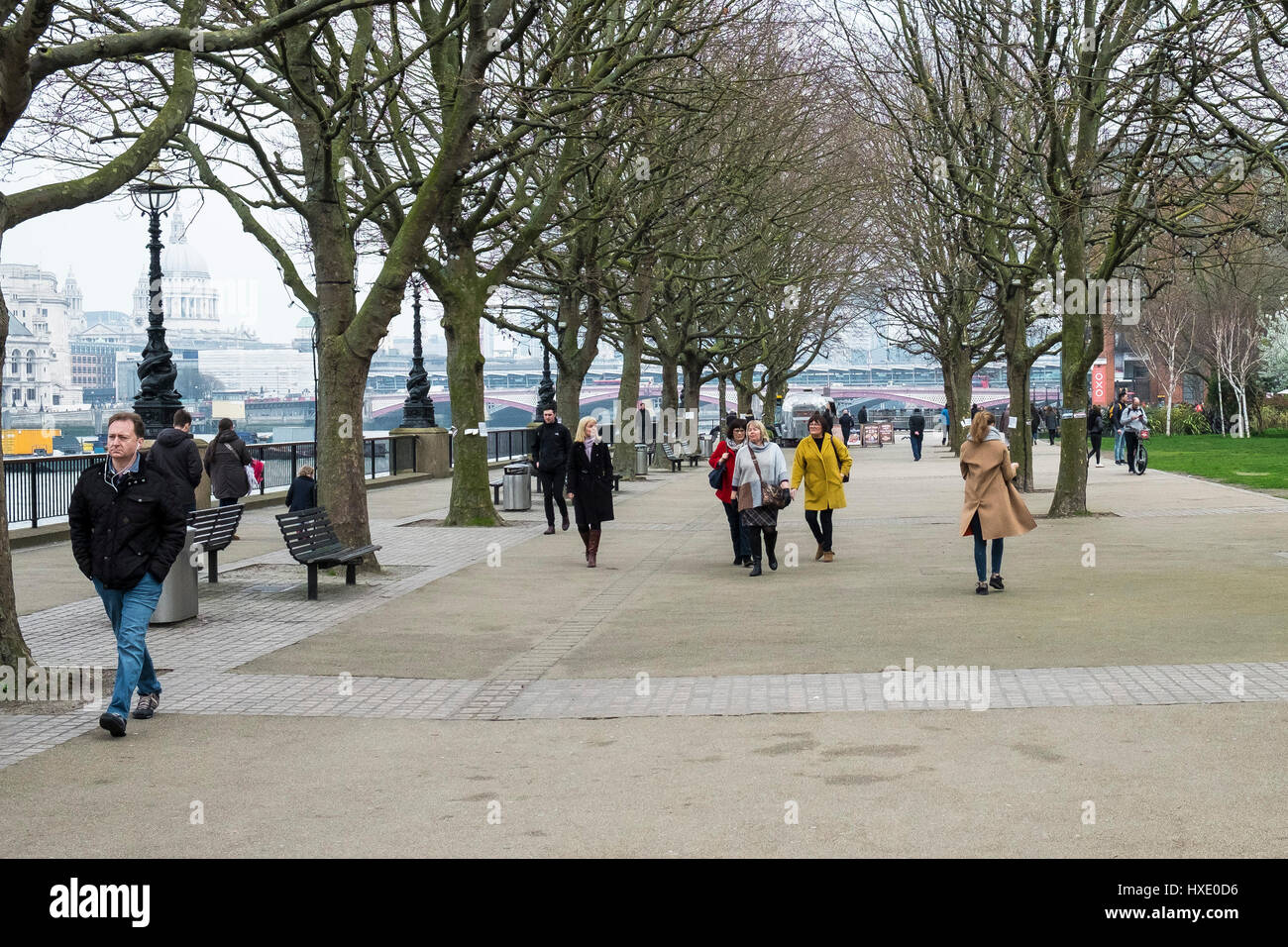 South Bank Southbank turisti a piedi di alberi minacciate condannato a piedi il turismo leisure Londra Foto Stock