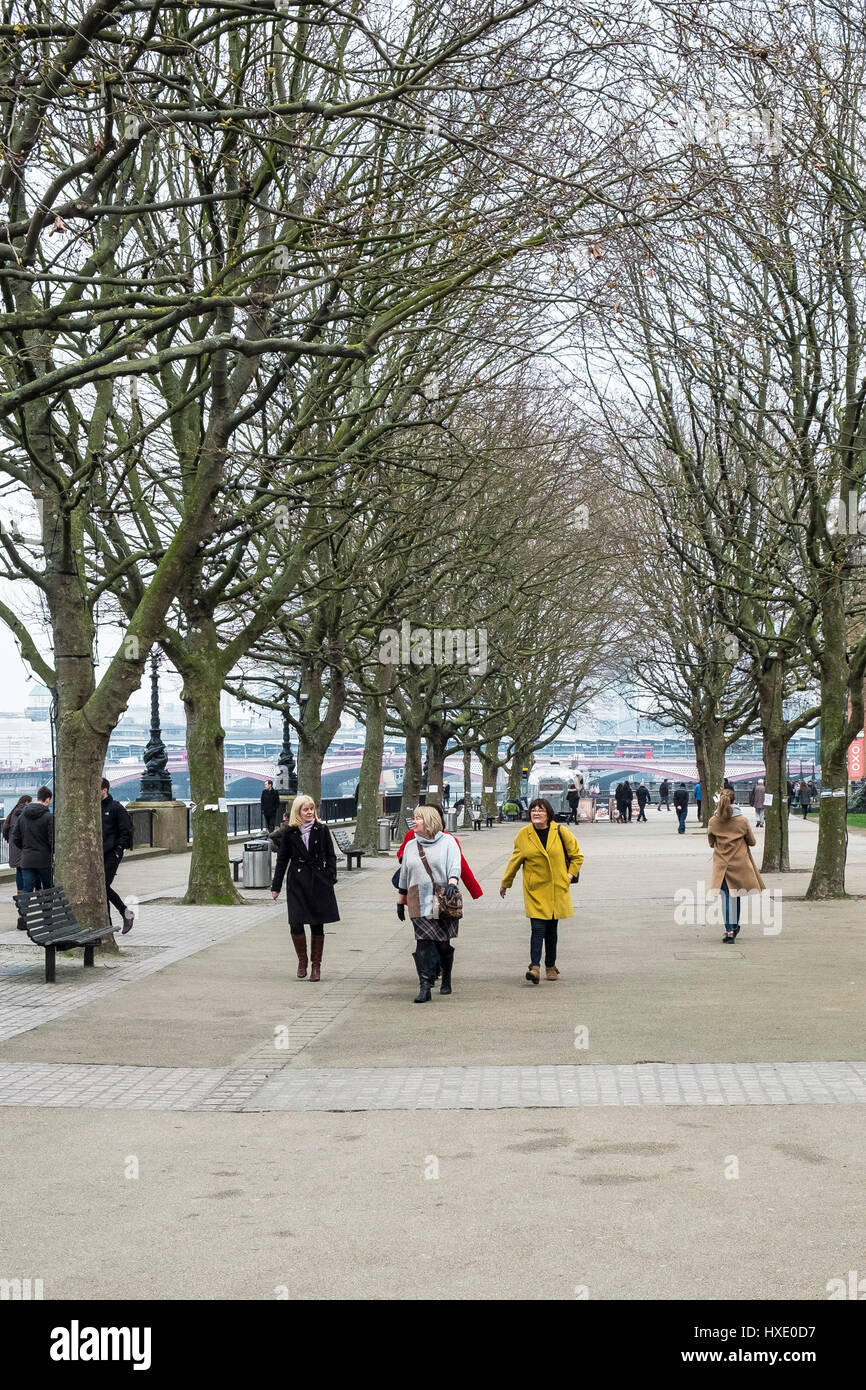 South Bank southbank turisti a piedi di alberi minacciate condannato a piedi il turismo leisure Londra Foto Stock
