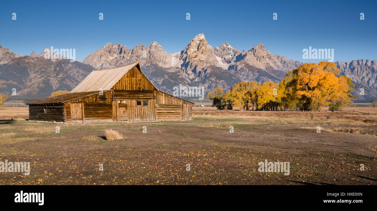 Moulton Barn nel Parco Nazionale di Grand Teton, Wyoming Foto Stock