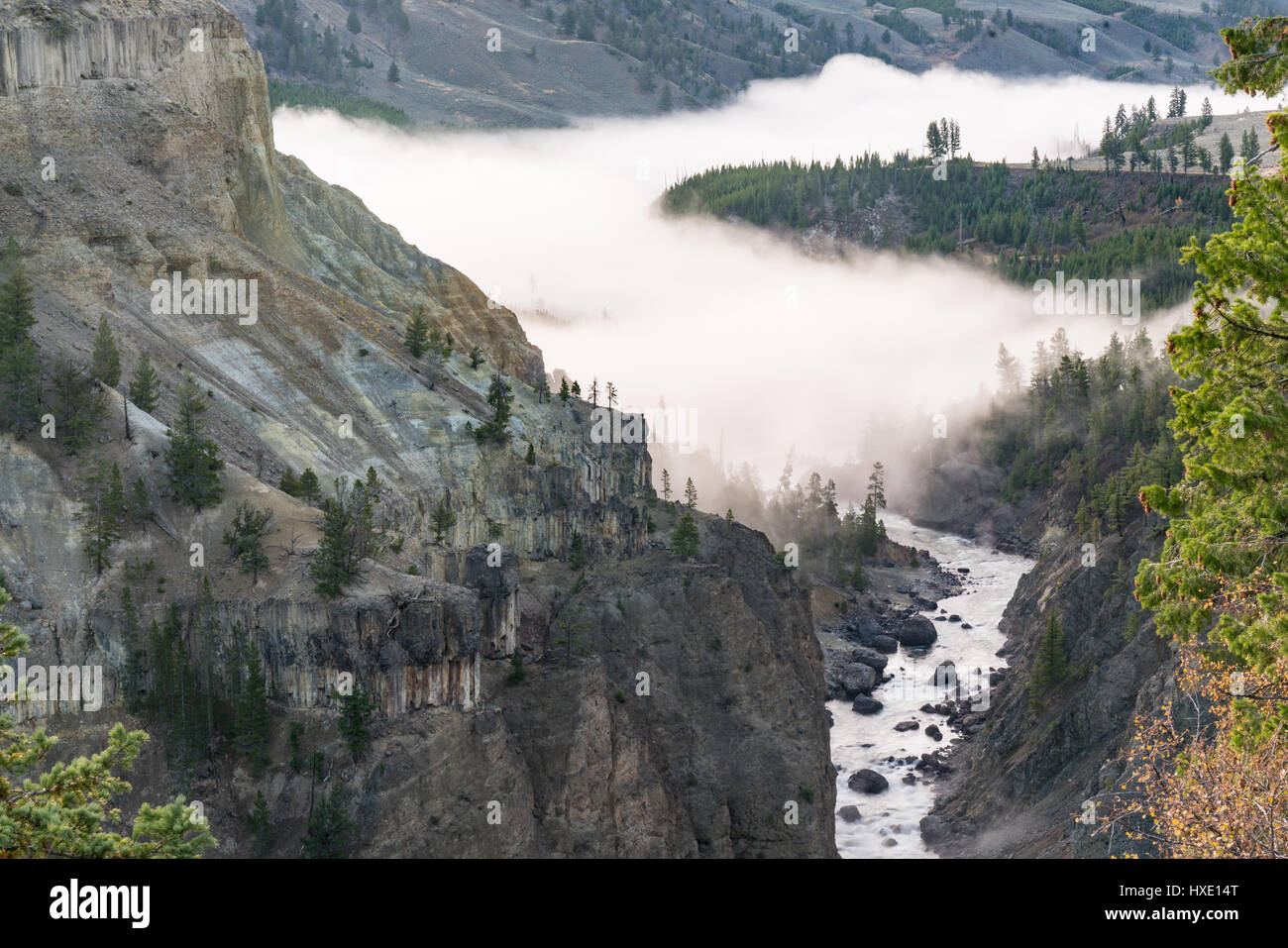 La nebbia nel cantone di Yellowstone River. Foto Stock