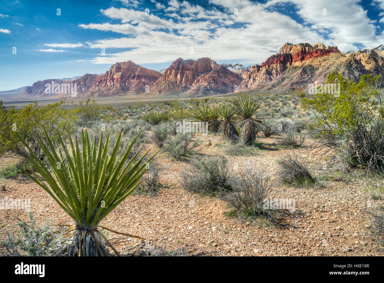 Montagne lungo il Red Rock Canyon National Conservation ad ovest di Las Vegas, Nevada. Foto Stock