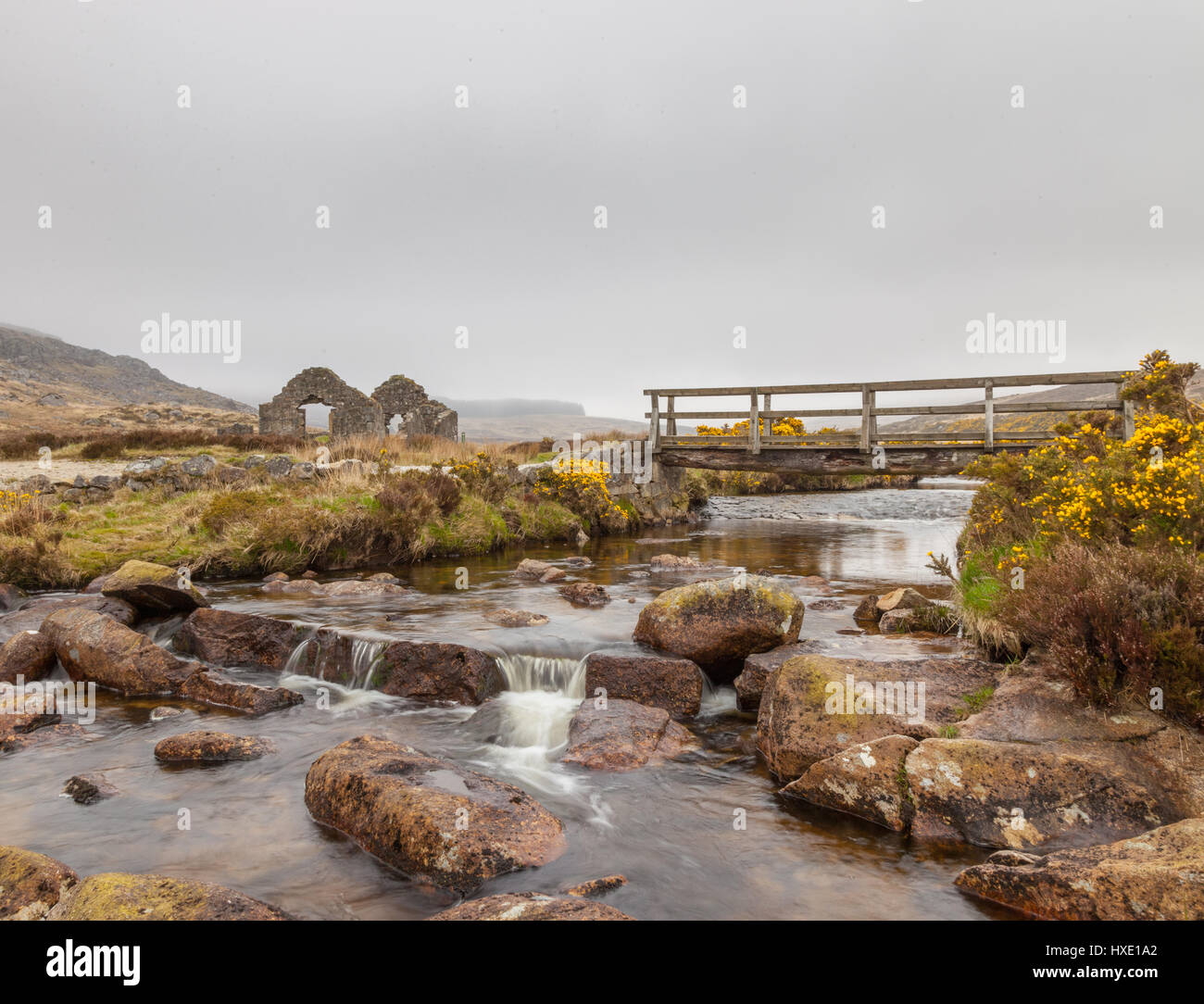 Abbandonato Irish Cottage in Wicklow Mountains dell Irlanda Foto Stock