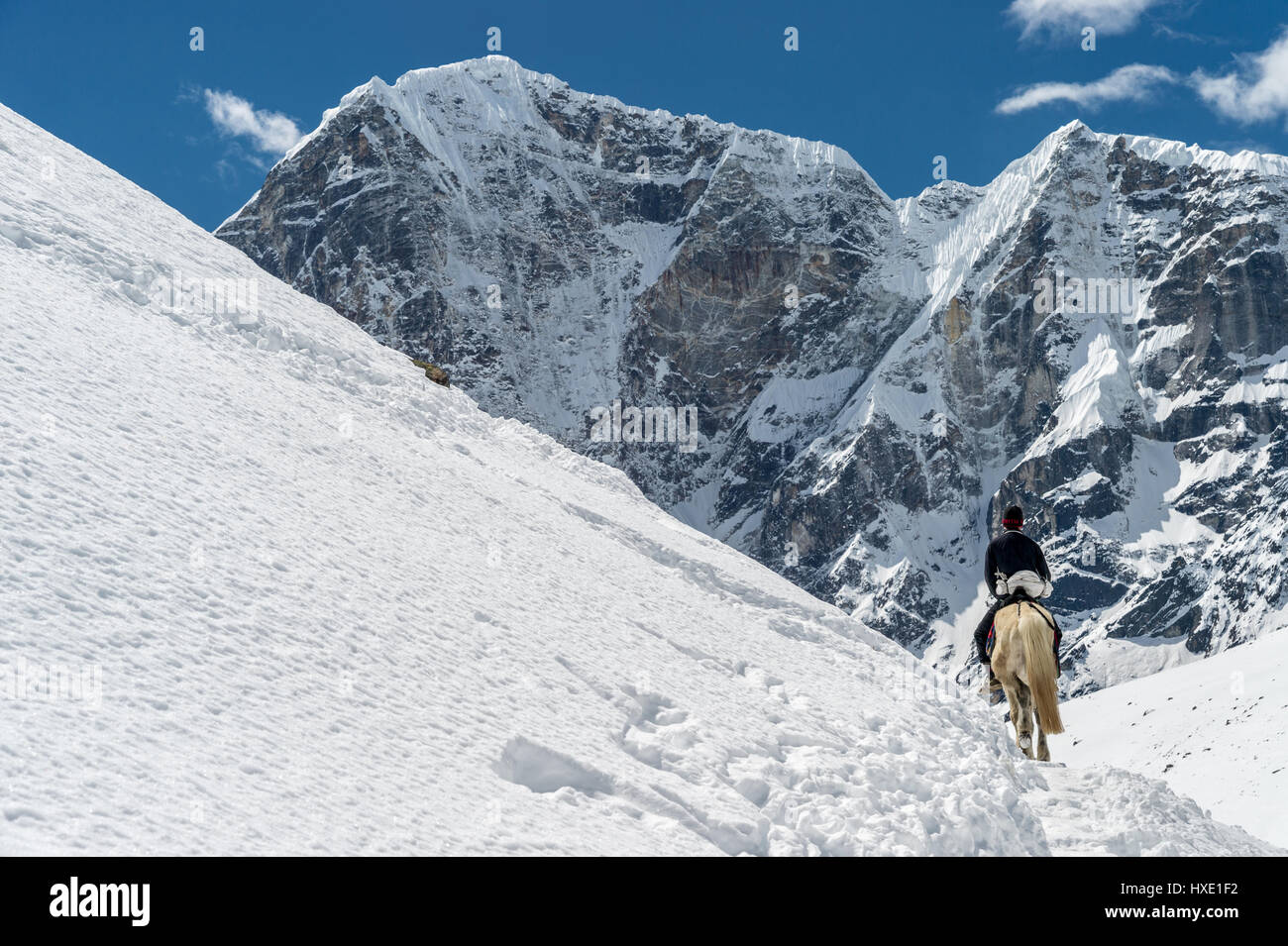 Regione di khumbu, in Nepal - 13 marzo 2015: un sherpa è in sella ad un cavallo con le alte montagne sullo sfondo Foto Stock