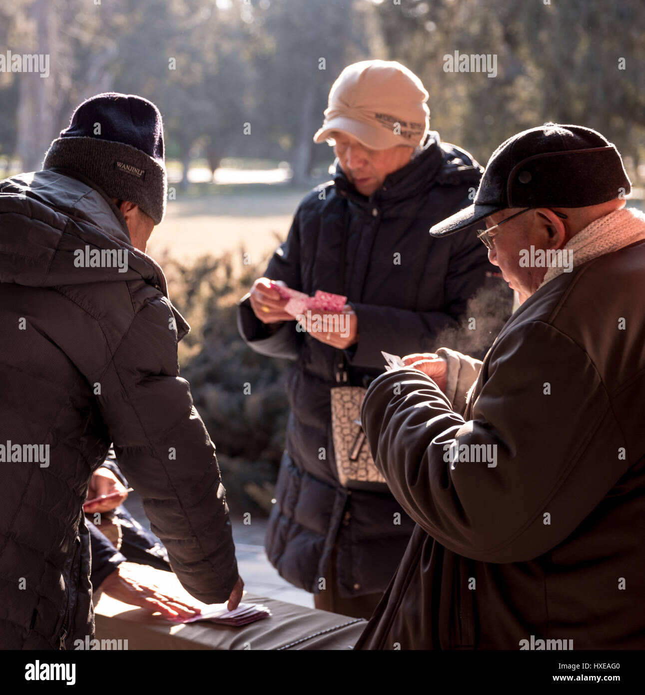 Anziani il popolo cinese a godersi al meglio il loro tempo libero in una giornata invernale presso il Tempio del Paradiso Park di Pechino. Foto Stock